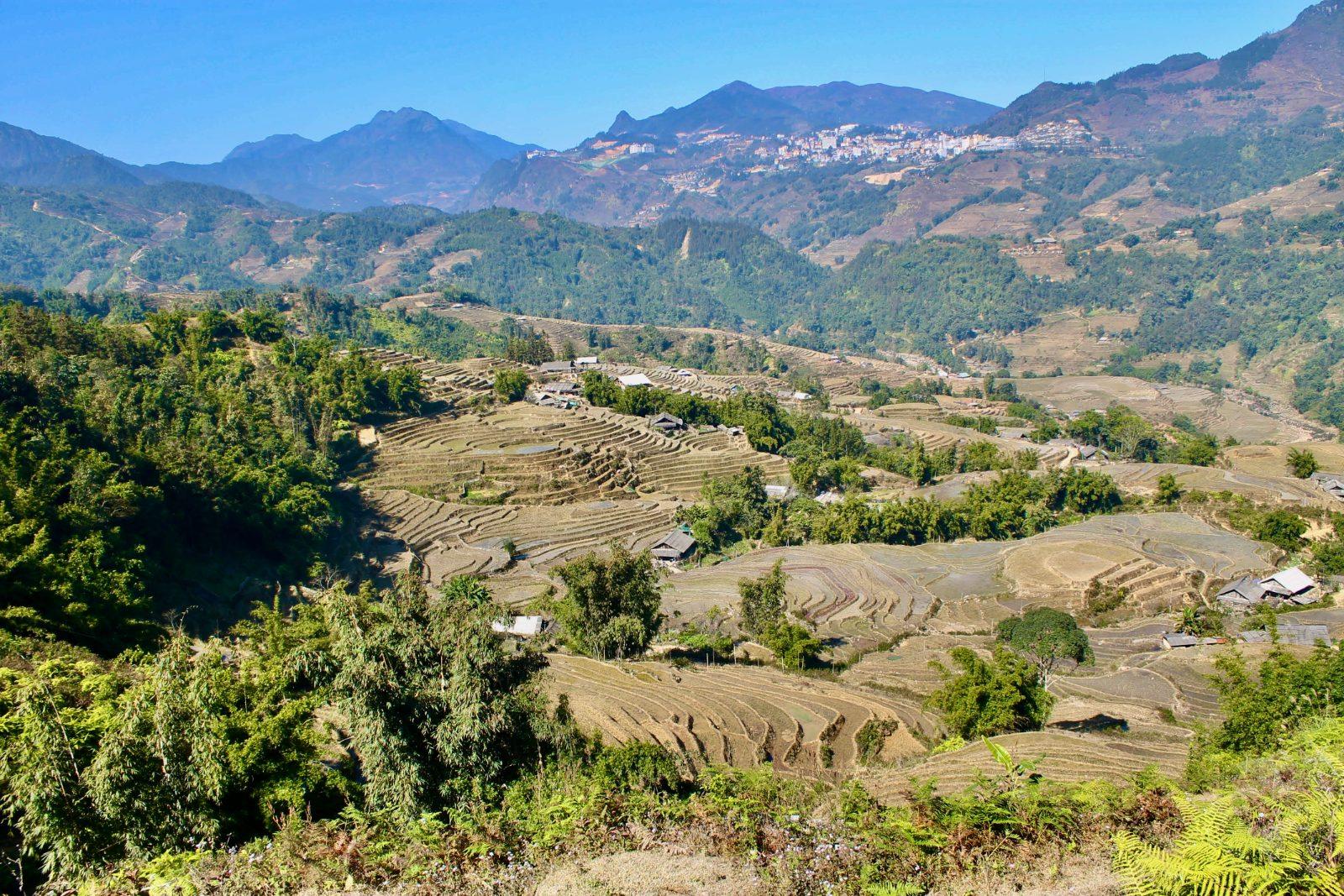 Terraced rice fields in the mountains of Sapa, northern Vietnam