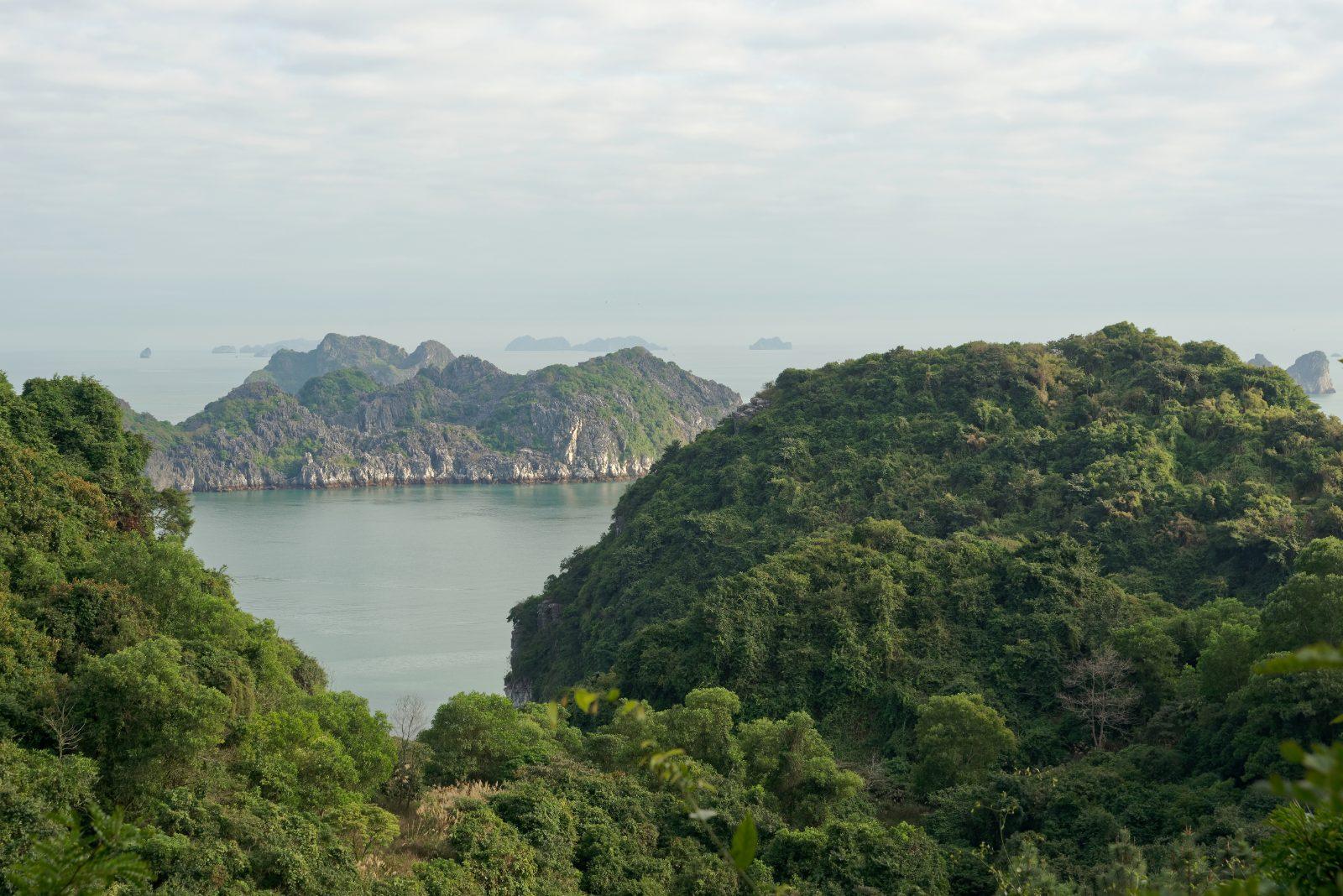 Limestone islands seen from Cannon Fort viewpoint on Cat Ba Island, Vietnam