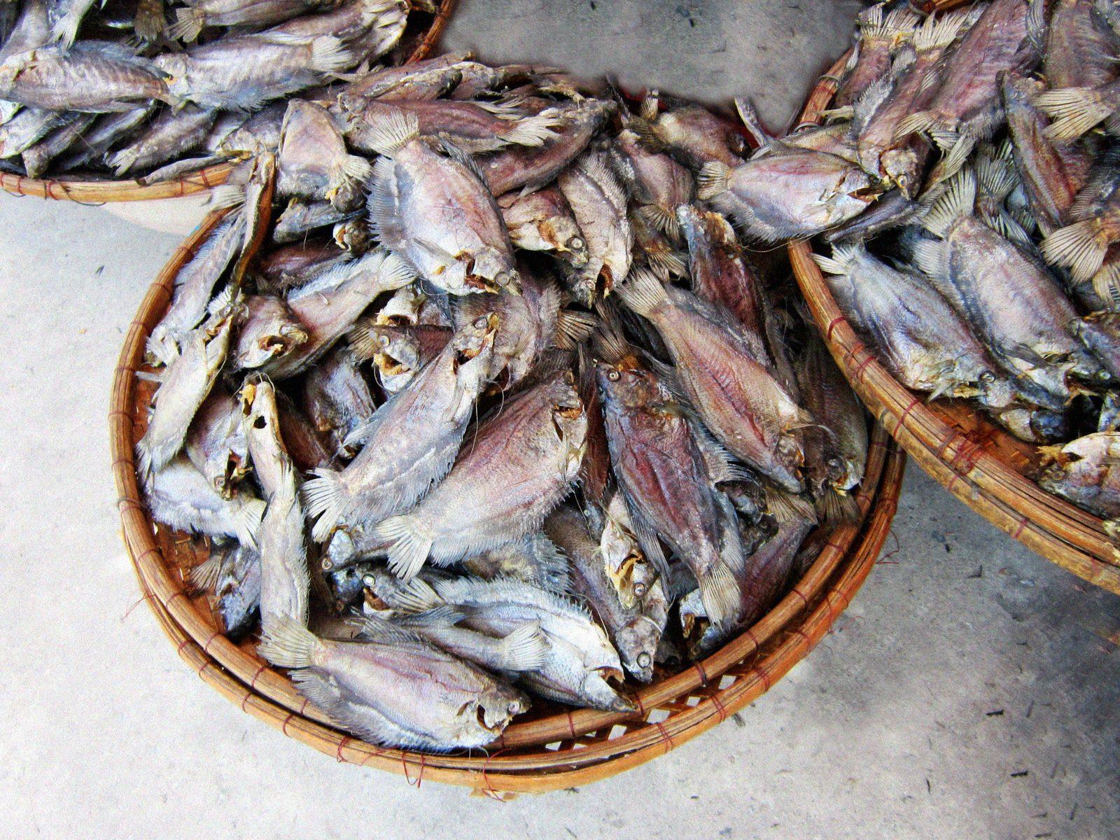Dried snakehead gourami fish, used to make Chau Doc mam