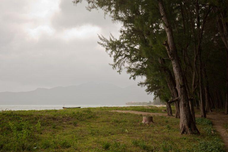 Forested coastline and sea of Con Dao National Park in Vietnam