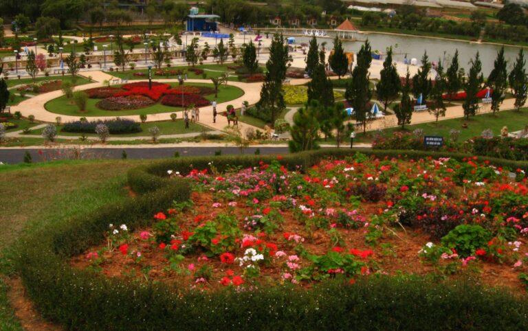 Colorful flower displays at Da Lat Flower Park, Vietnam