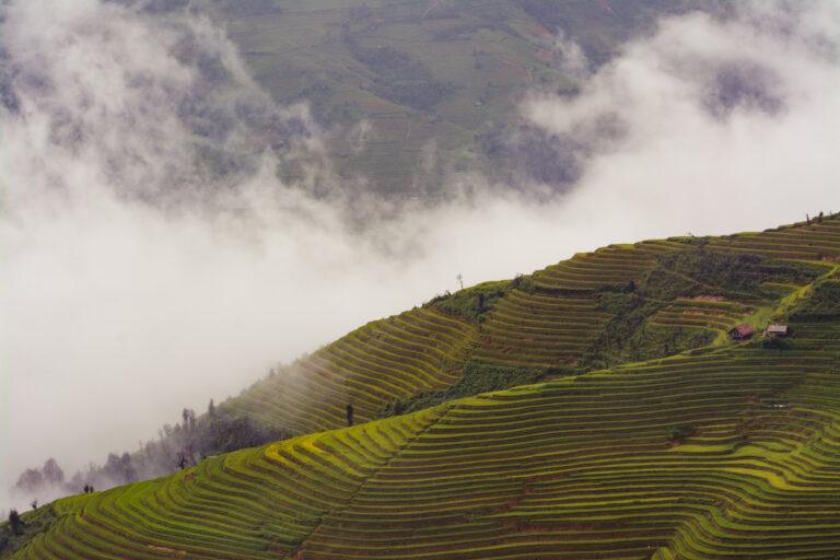 Mist rolling over the rice terraces of La Pan Tan village, one of the top viewpoints in Mu Cang Chai