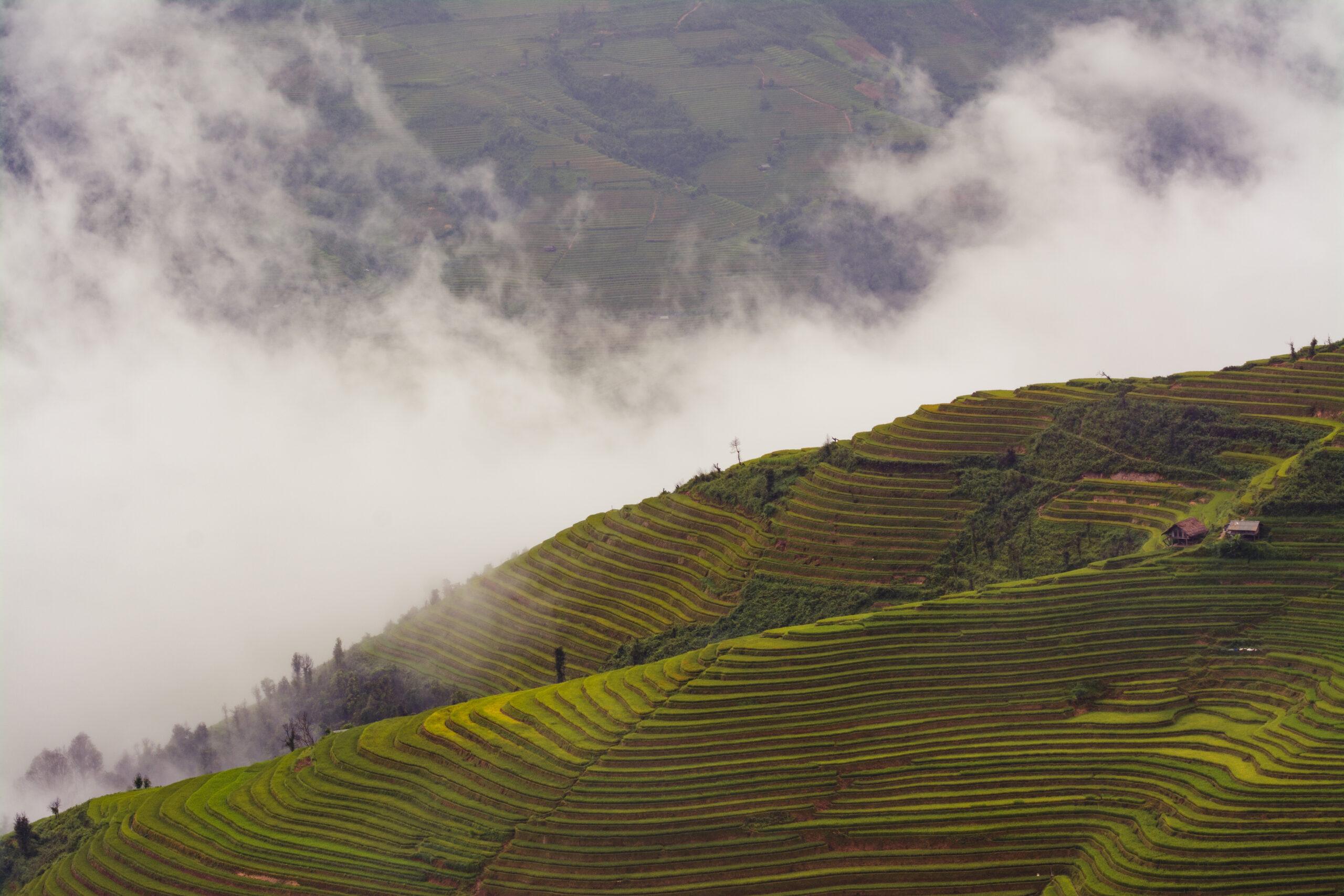 Mist rolling over the rice terraces of La Pan Tan village, one of the top viewpoints in Mu Cang Chai