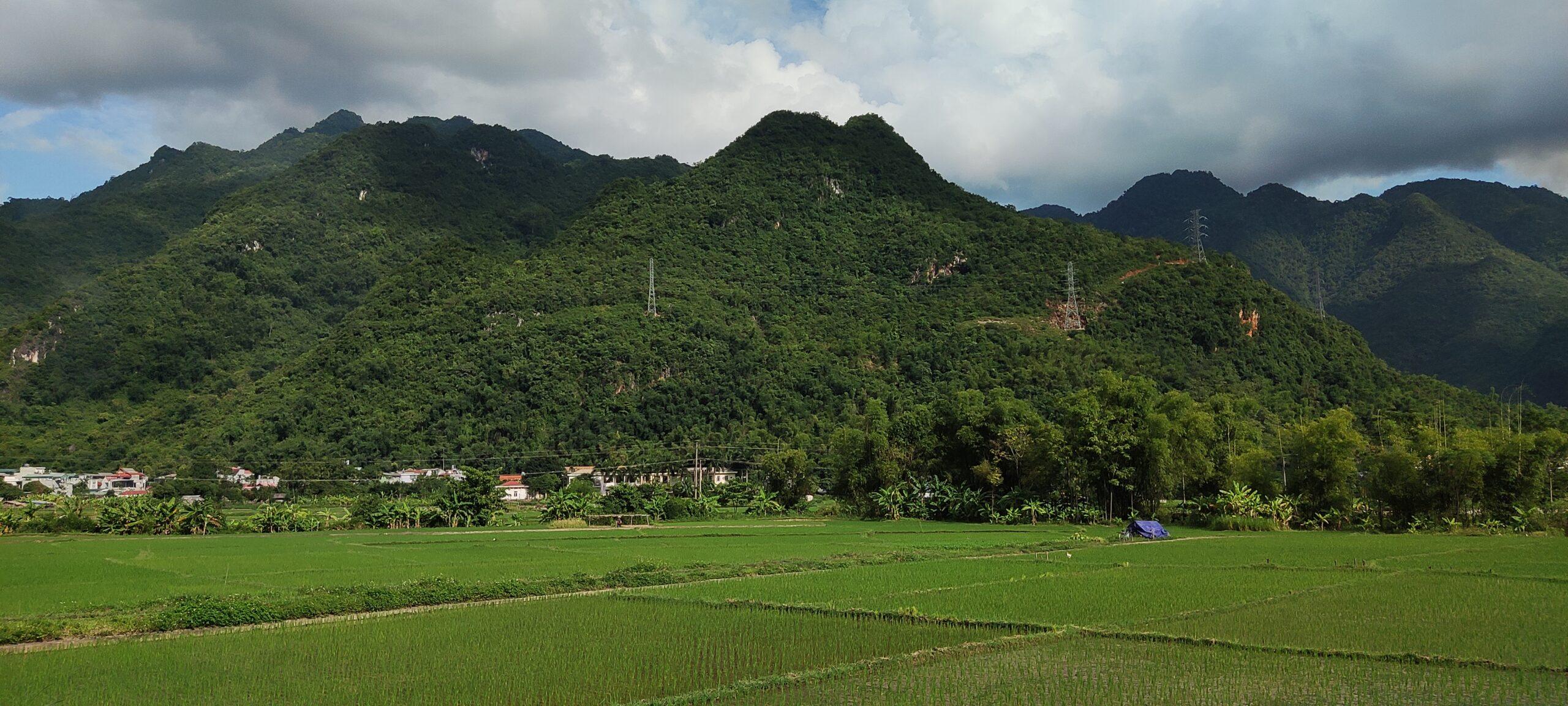 Panoramic view of a Mai Chau village nestled among rice fields and mountains