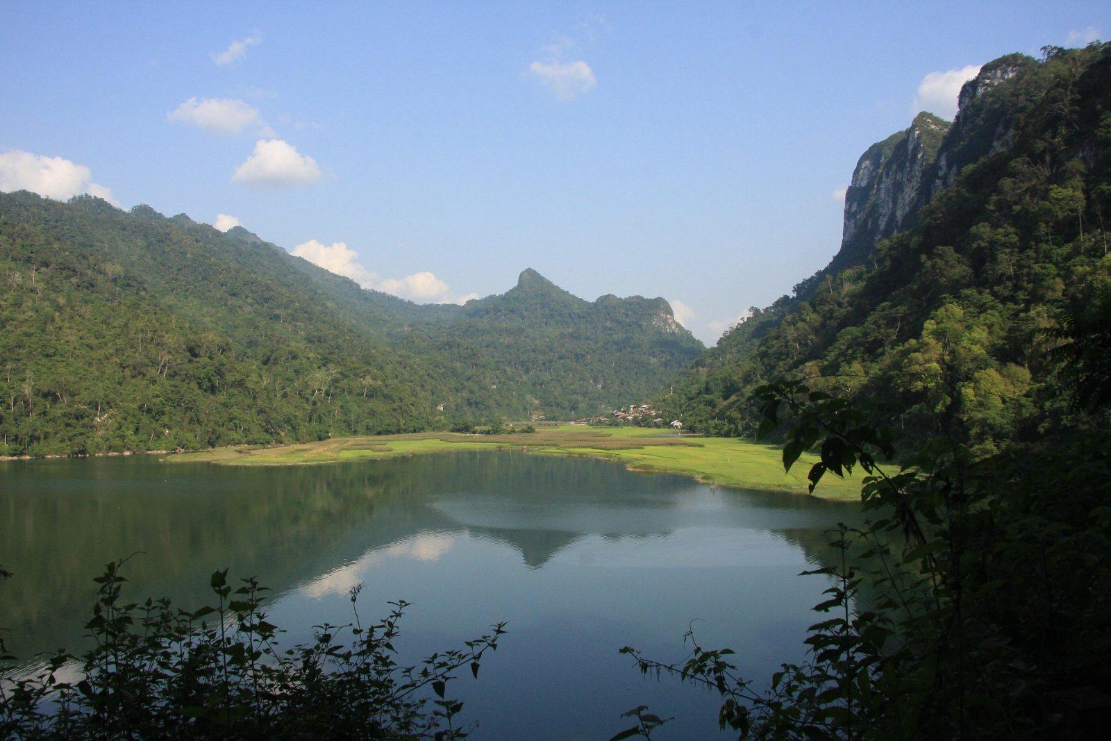 Rice paddies along the lakeshore at Pac Ngoi village near Ba Be Lake