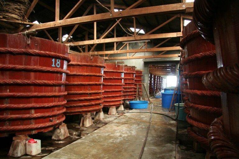 Traditional fish sauce (nuoc mam) factory on Phu Quoc Island