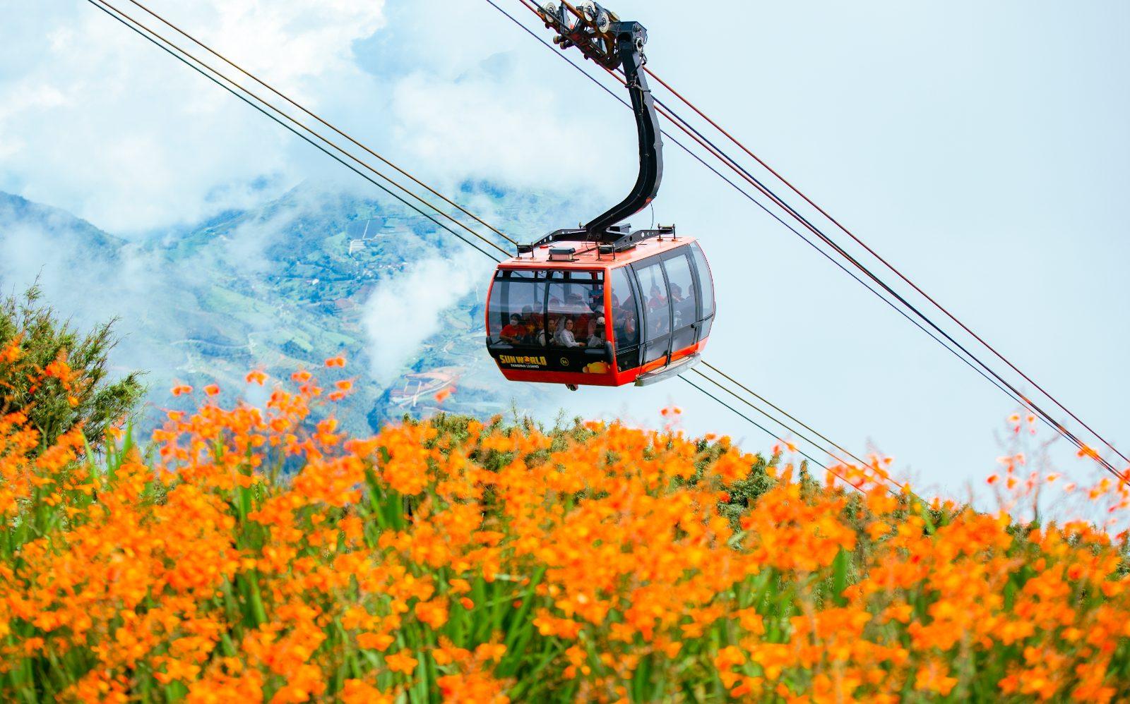 The Fansipan cable car crossing a flower field near Sapa