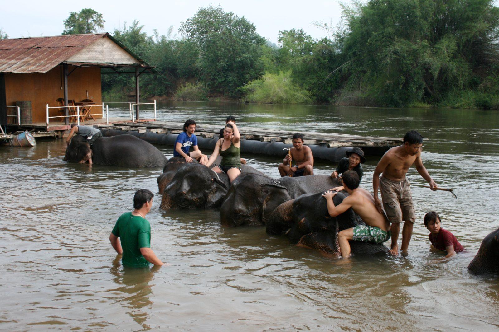 Visitors helping bathe elephants in a river at an observation-based sanctuary