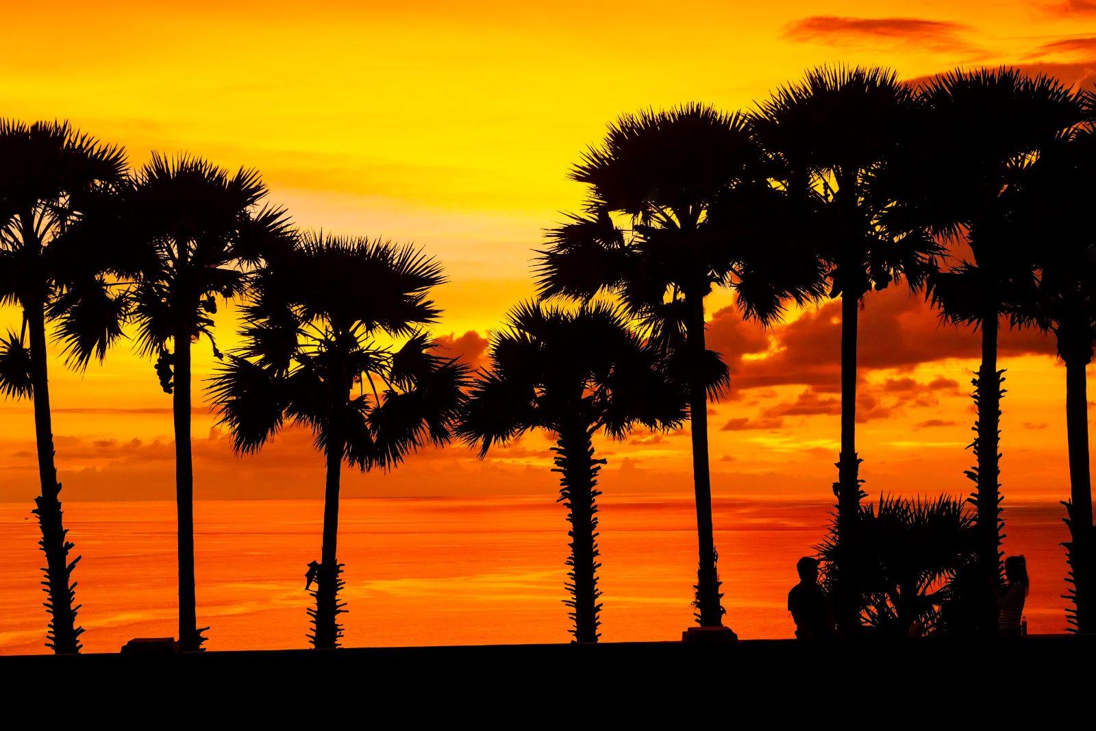 Silhouetted palm trees against a sunset sky at Promthep Cape, Phuket